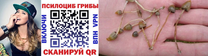 darknet телеграм  Заозёрск  Псилоцибиновые грибы прущие грибы 